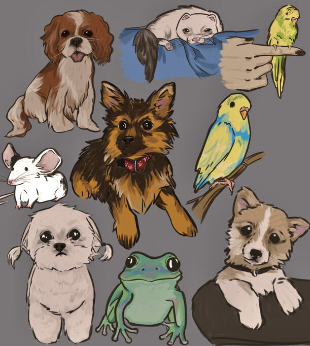 drawing of your pet !